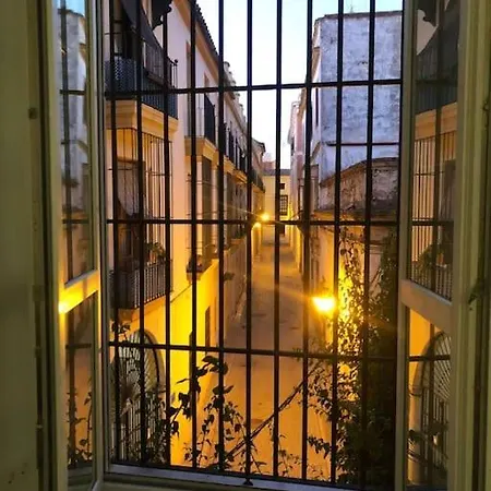Apartament En Plaza Plateros